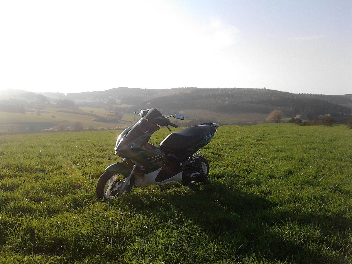 landschaft