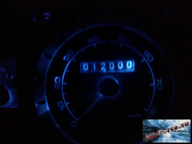 06102009477.jpg