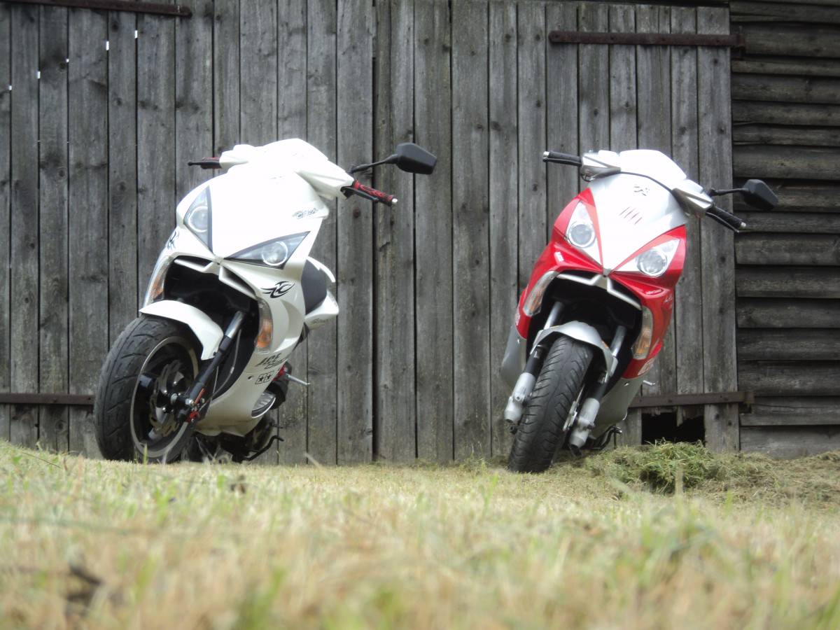 gestern kleine tour den wald :D