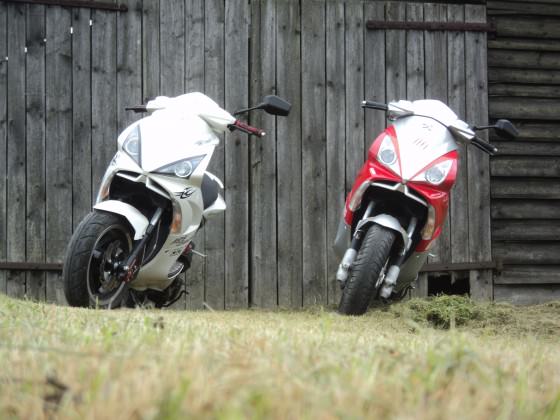 gestern kleine tour den wald :D