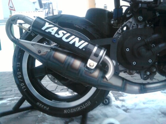 Yasuni R