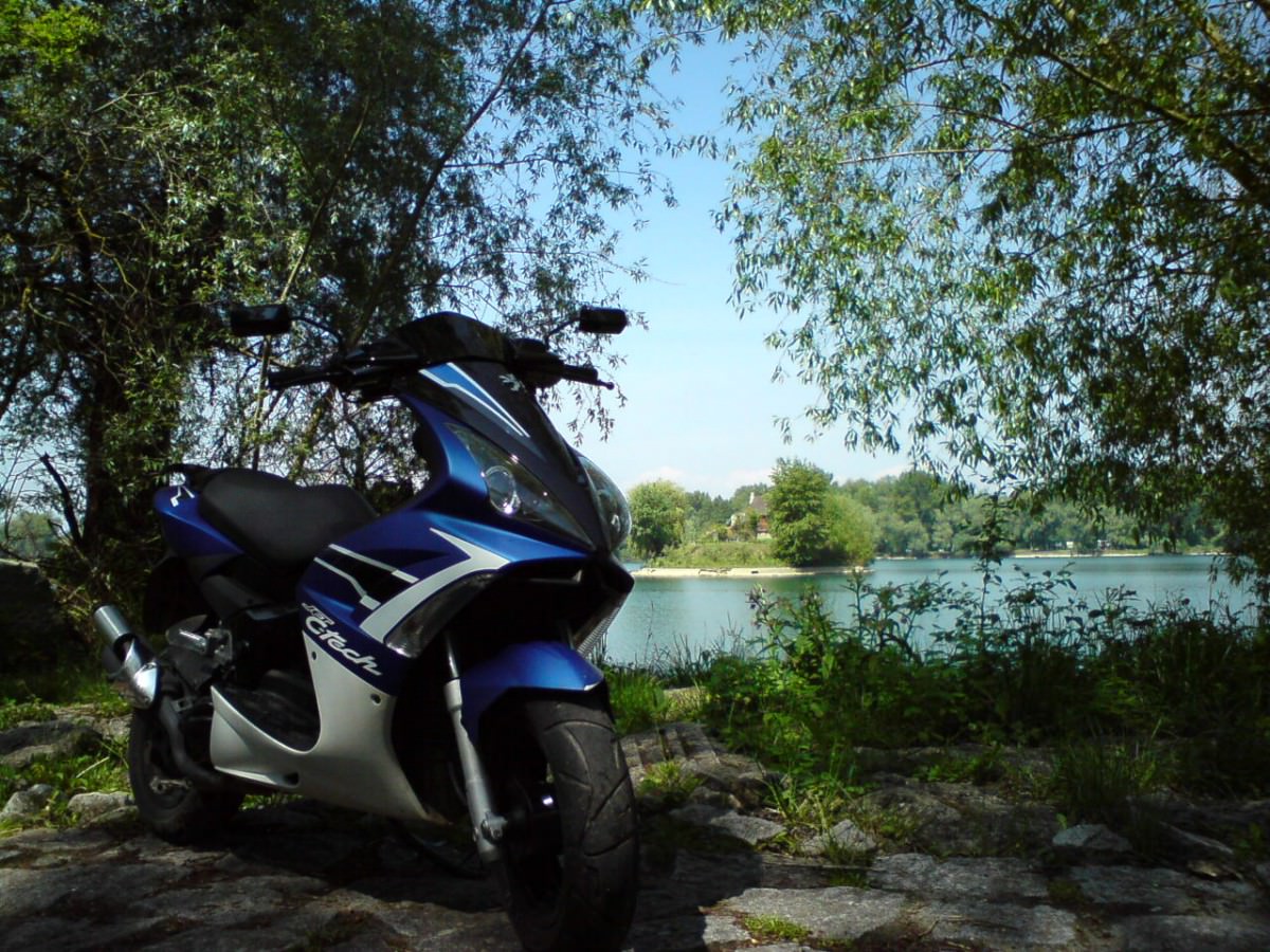 Paar neue bilder