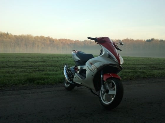 letzte sonnenstrahlen :)