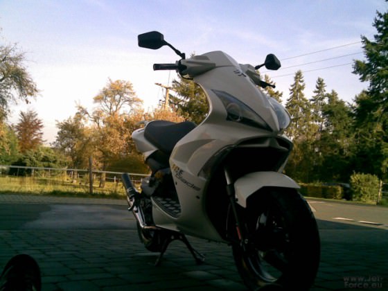 Meiner (: