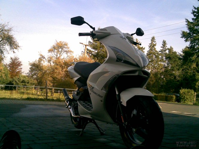 Meiner (: