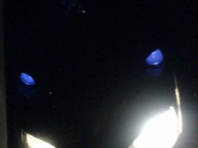 Blaue standlichter