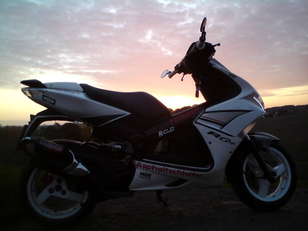 Der Scooter