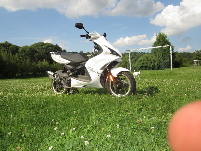 Es ist Sommer! <3