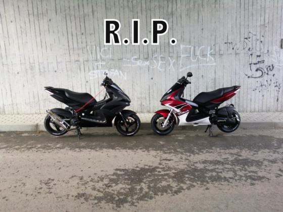 >> R.I.P. <<