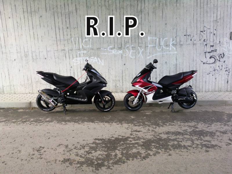 >> R.I.P. <<