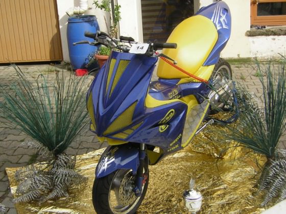 dscn4513li6