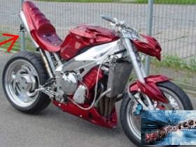 Gilera DNA