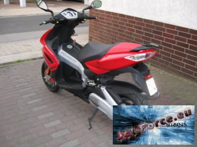 Mein schadzii