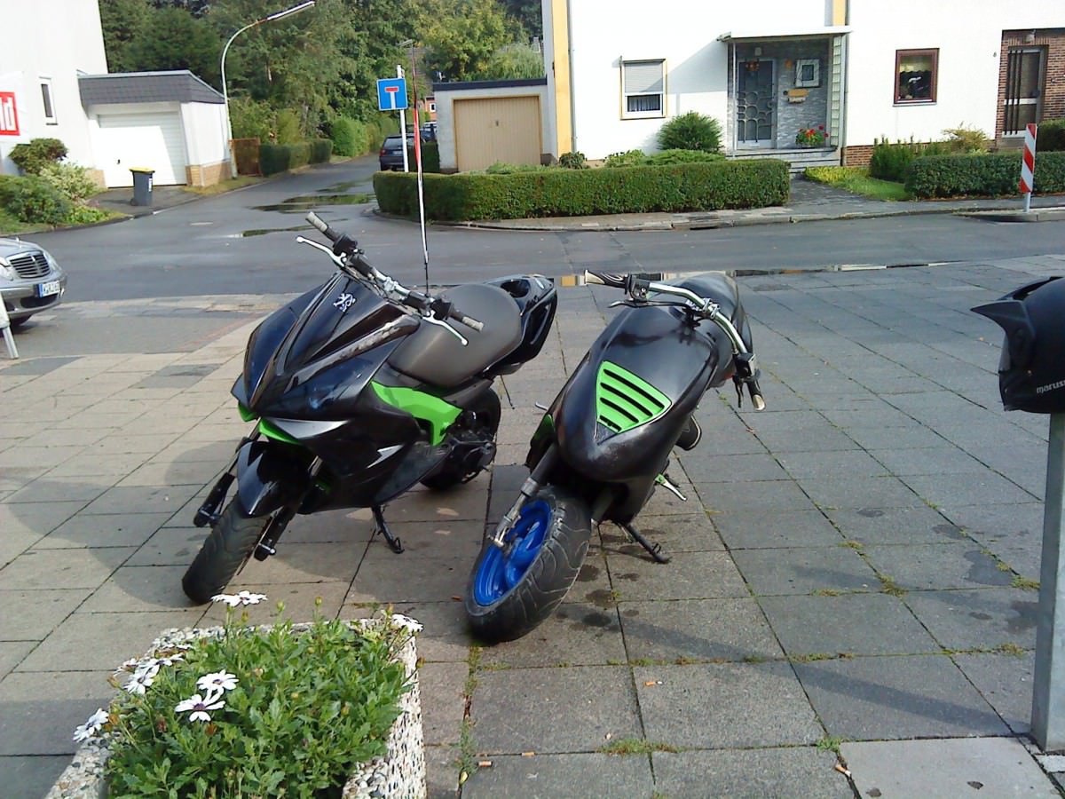 die will ich nur in meiner gall drin haben