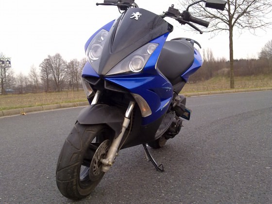 Meiner *__*