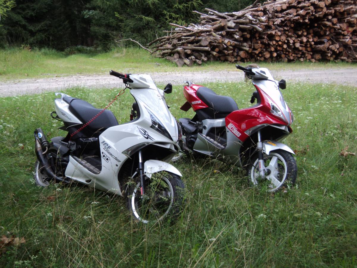 gestern kleine tour den wald :D
