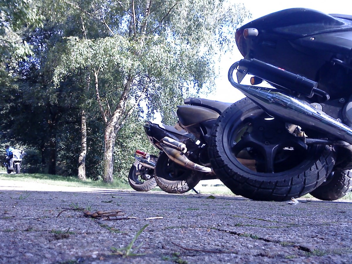 paar bildchien
