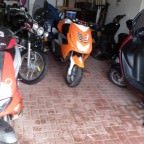 Foto0829