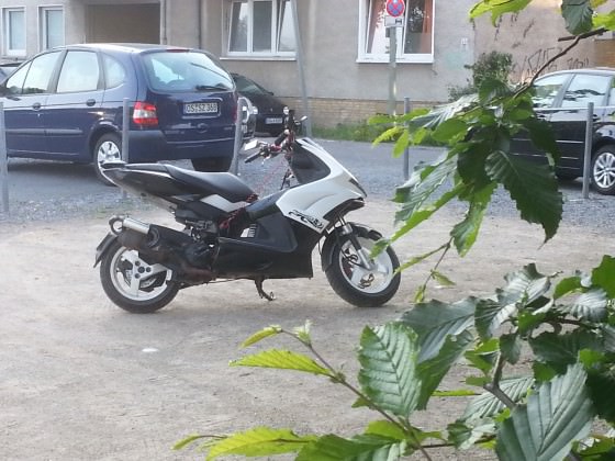 Mein Jetty ist weider fit