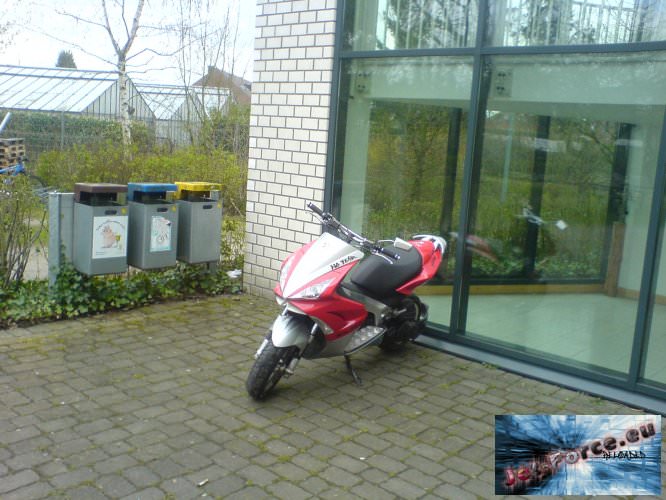 jetty inna schule