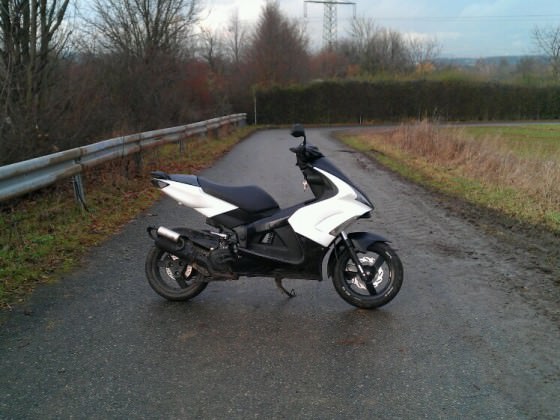 sie hat sich dem winter angepasst