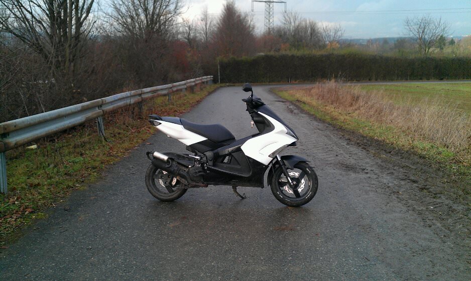 sie hat sich dem winter angepasst