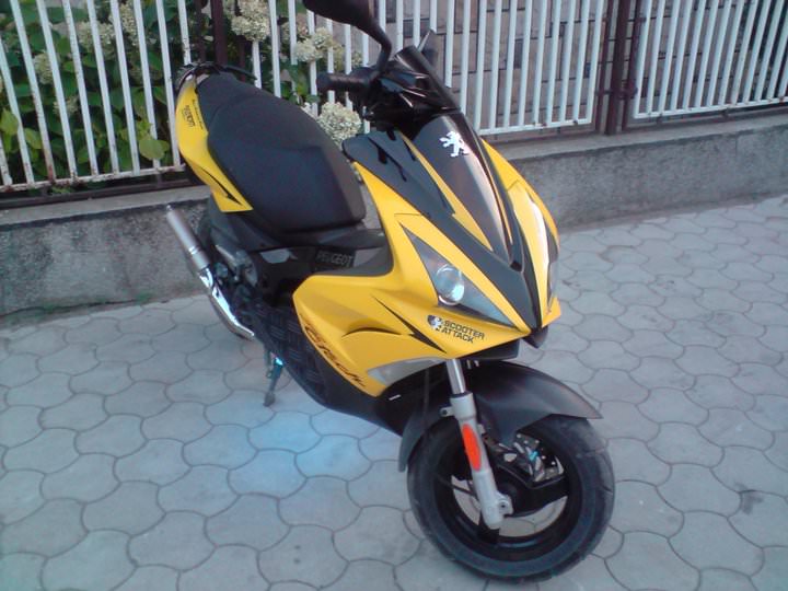 mein rollo