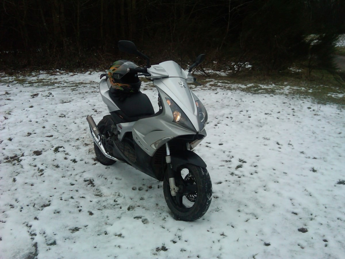 IMG00295-20110128-1558
