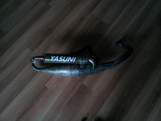 Yasuni R