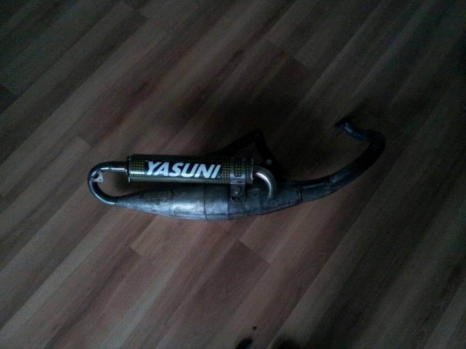 Yasuni R
