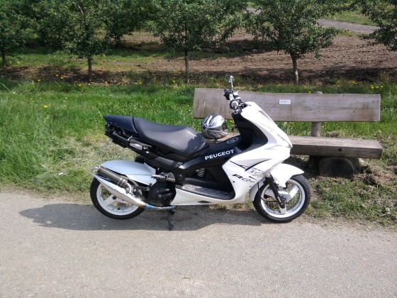 Mal n paar neue Bilder :)