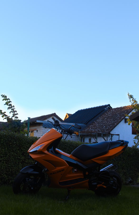 Neues von Mir