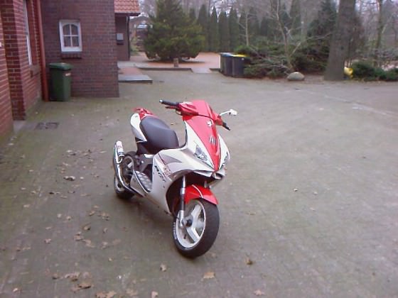 Paar Bilder