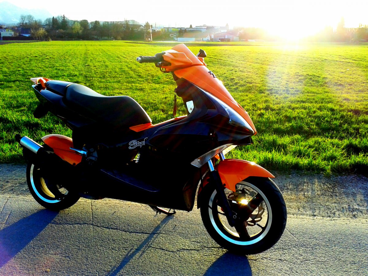 orangeblack jetts