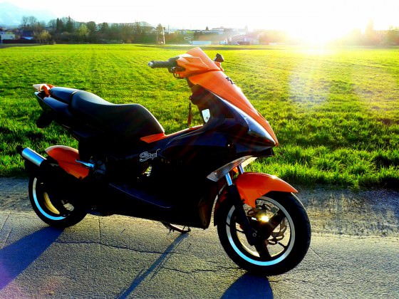 orangeblack jetts