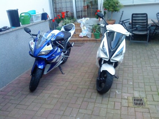jetty vs yzf r125