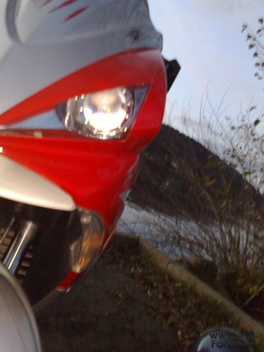 kleines Photoshoting mit nem bb ^^