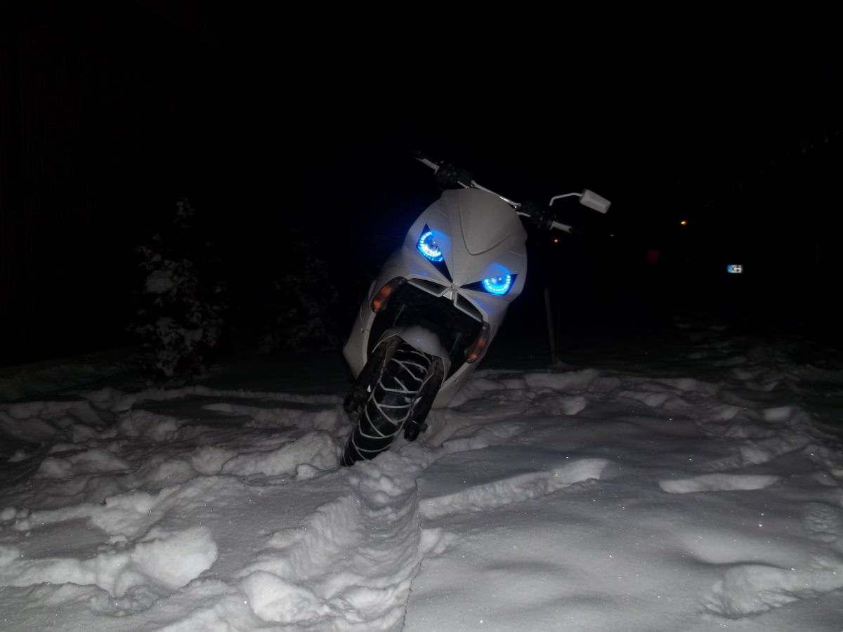 bild im schnee <3
