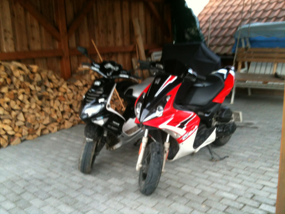 Speedy und Jetty <3