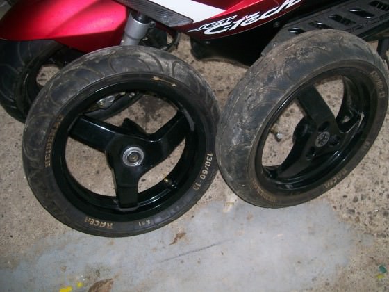 13 Zöller abzugeben .... Billig macht mir Angebote alles muss raus ;)