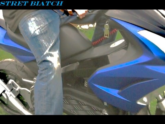Projekt Street Biatch