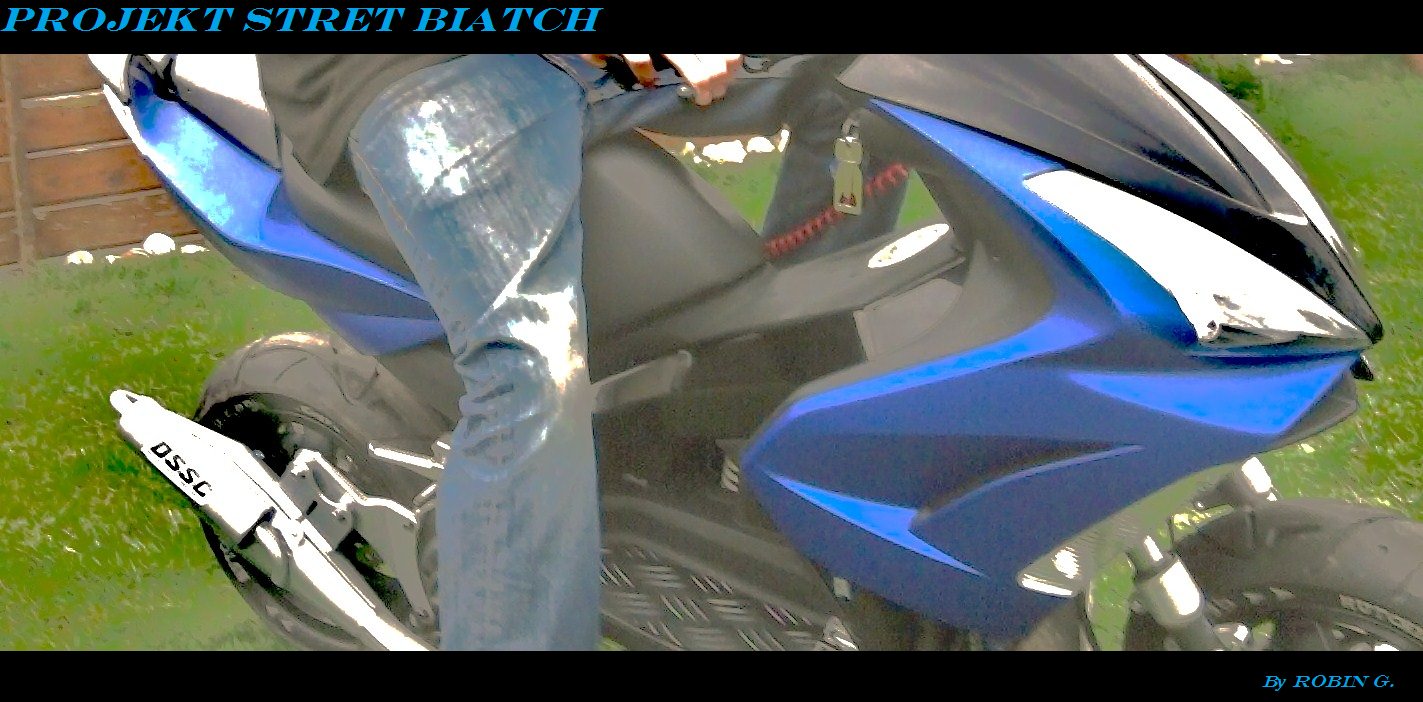 Projekt Street Biatch