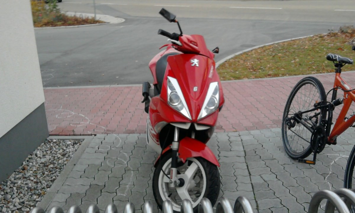 Foto0233