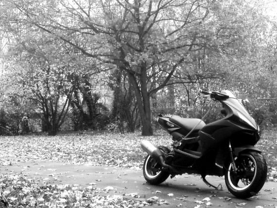 Herbst/Winter :'(