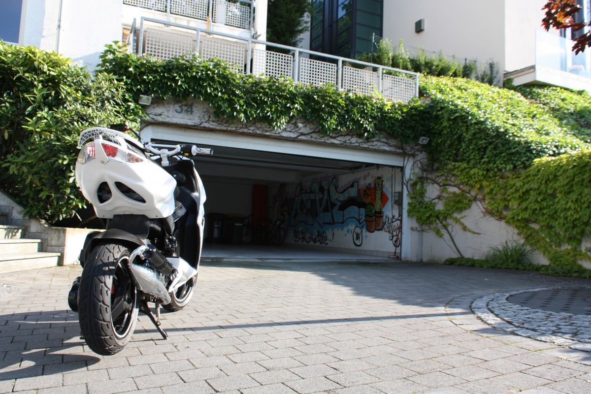 Neue Bilder gemacht, bei schönem Wetter