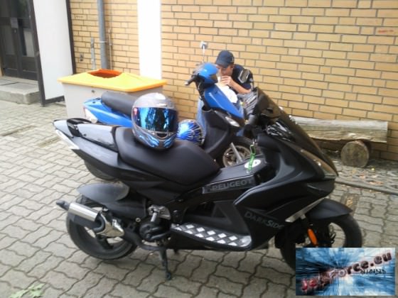Welcher is geiler (der hintere isn rex) ;D