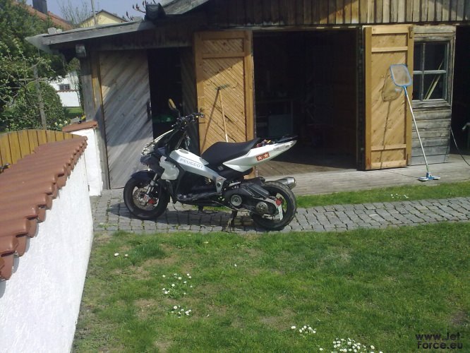 Arme Sau