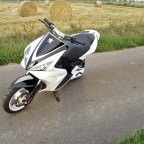 neew