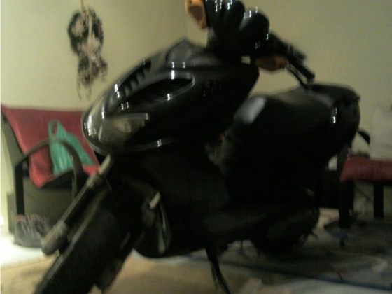 Foto0880T