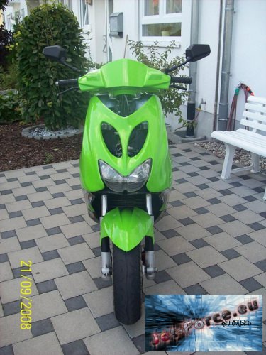 naja für seximexi